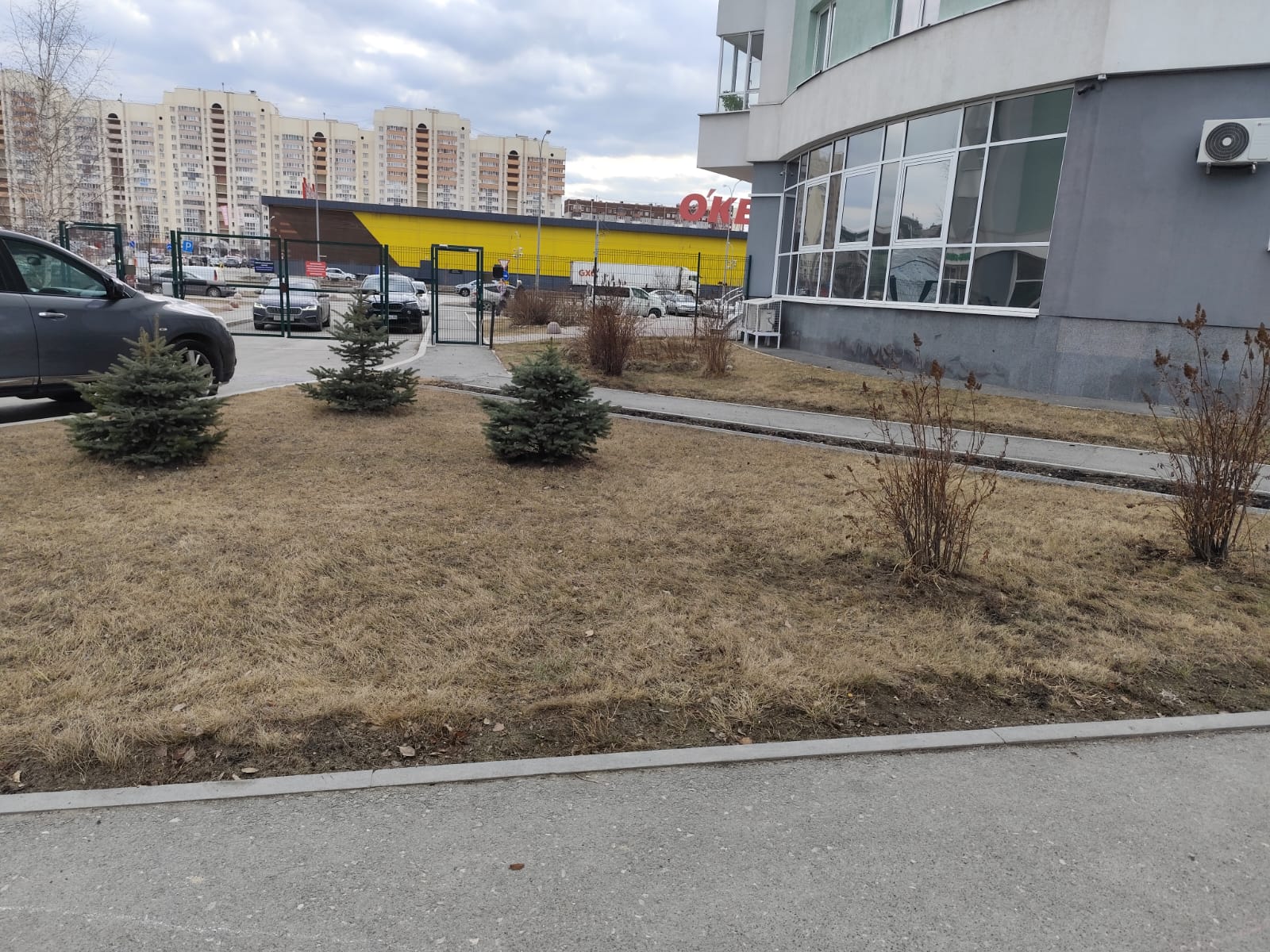 file/news/2025-04-08/sozvezdie_(12).jpeg